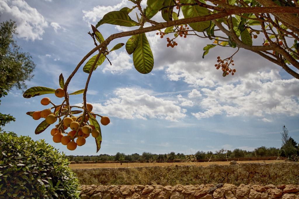Finca Agroturismo Can Carro Кампос Екстериор снимка